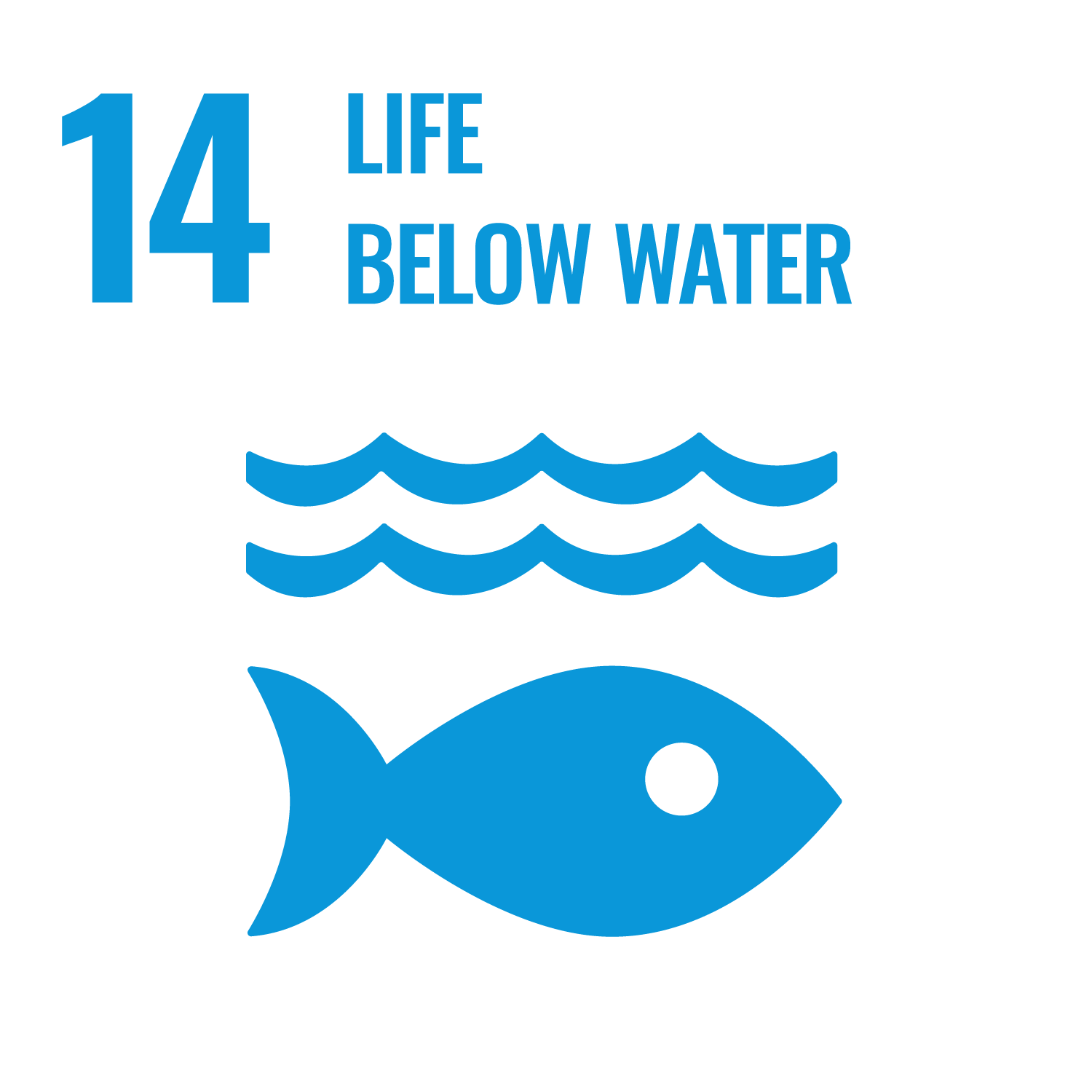 UN SDG 14: Life below water
